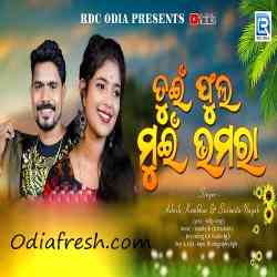 Tui Phoola Mui Bhamara